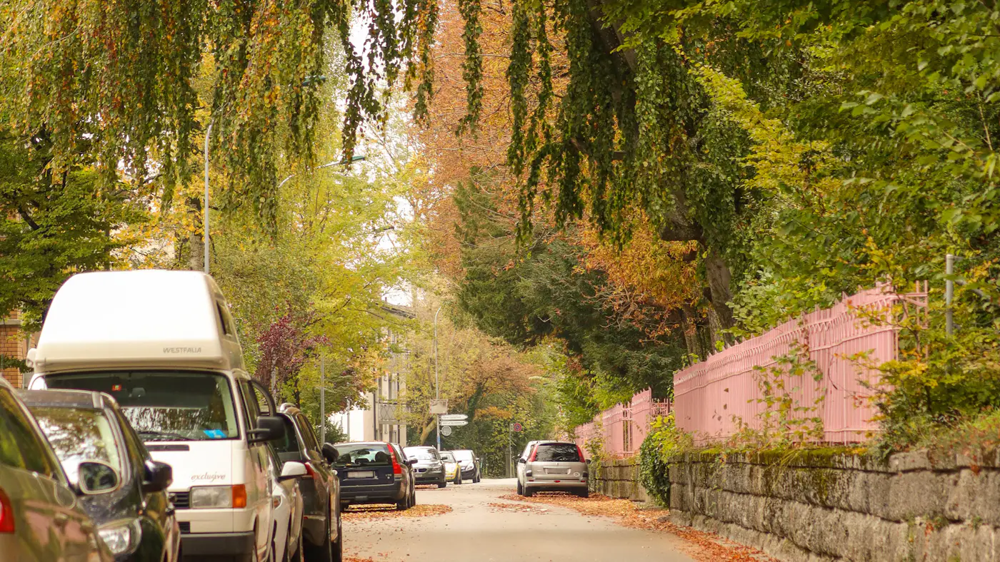 A tree-lined residential street