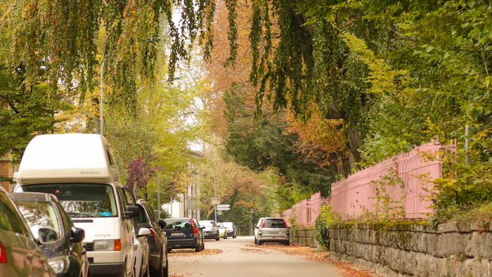 A tree-lined residential street